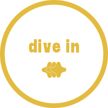 dive in